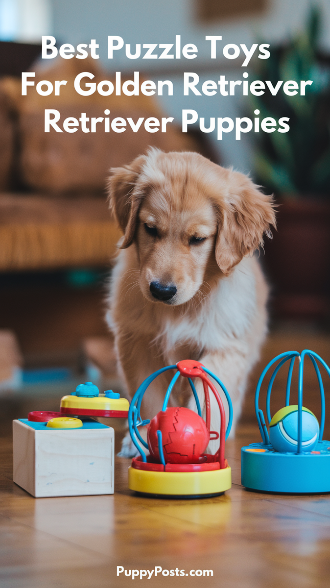 Best Puzzle Toys For Golden Retriever Puppies Best Puzzle Toys For Golden Retriever Puppies