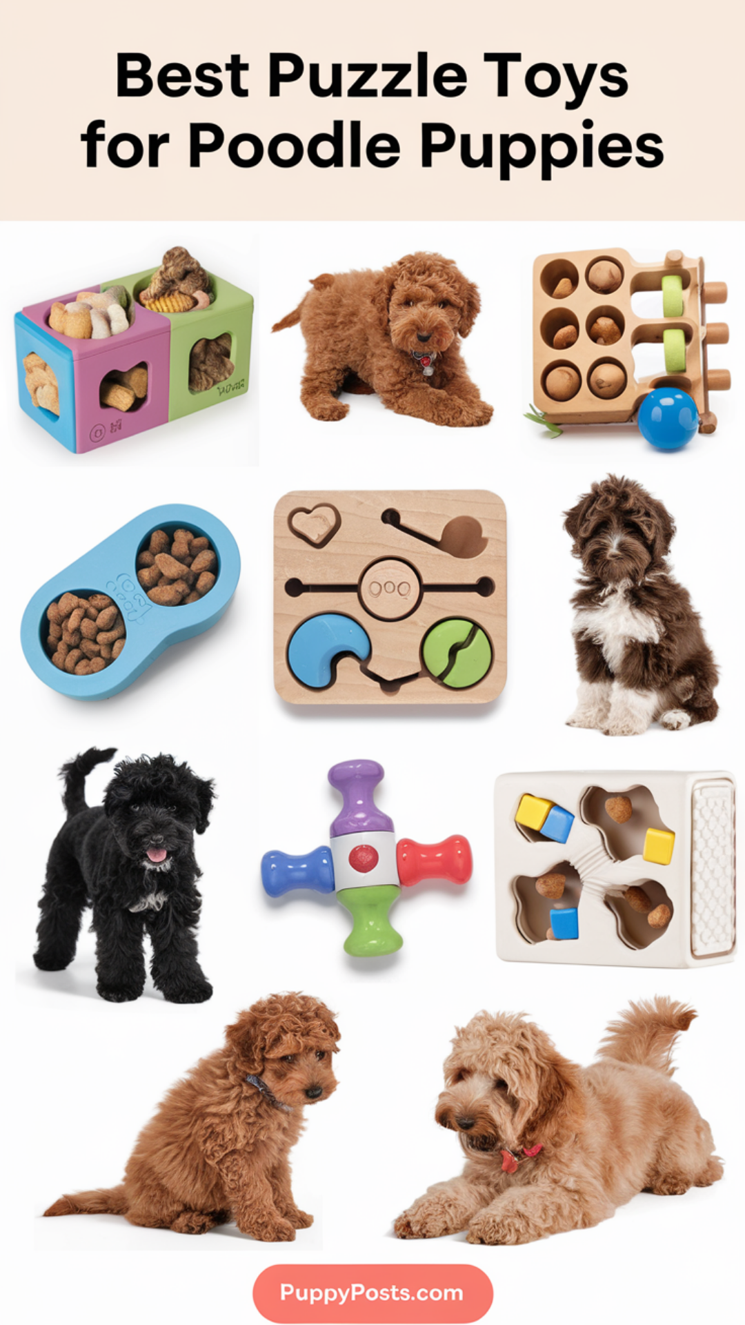 Best Puzzle Toys For Poodle Puppies