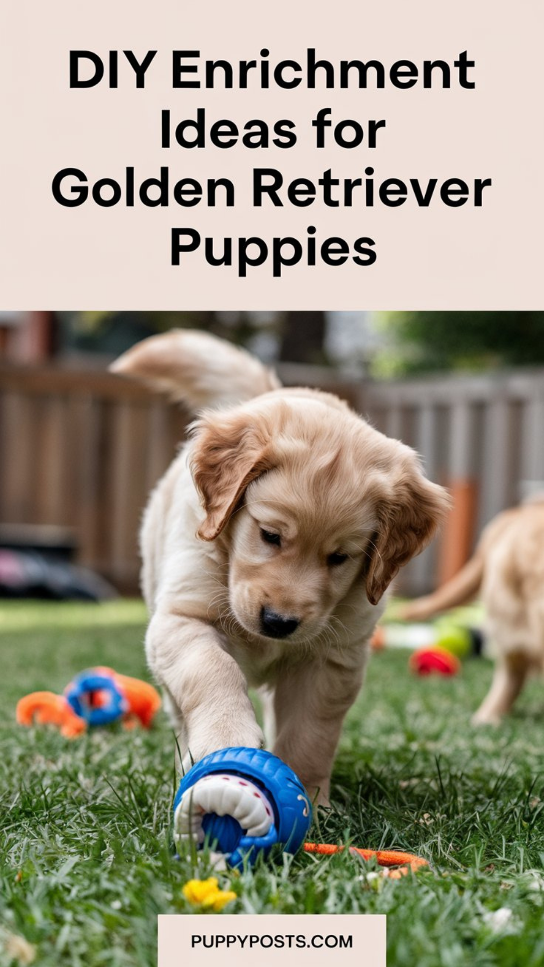 DIY enrichment games for German Shepherds DIY enrichment games for German Shepherds