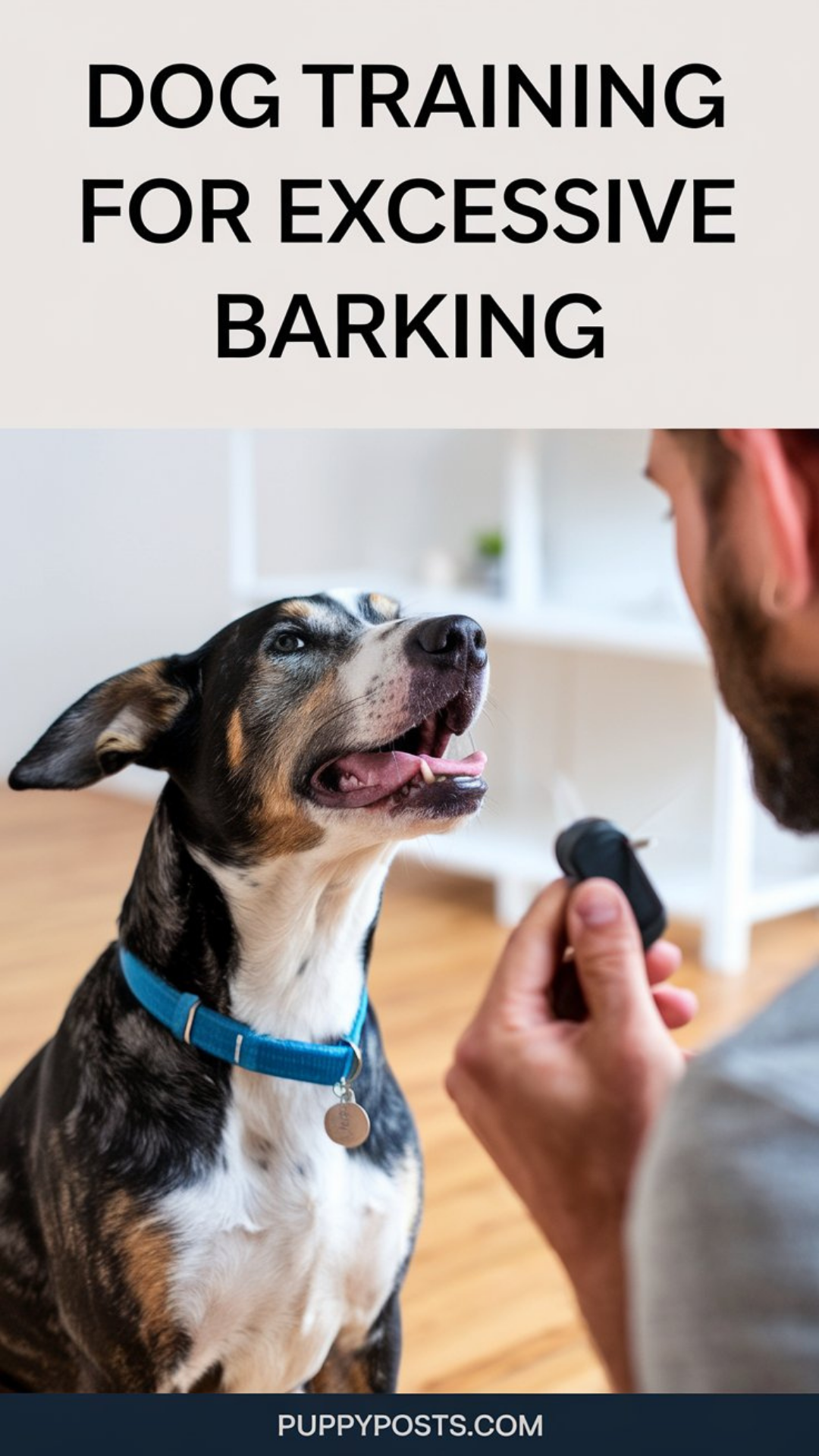 Dog training for excessive barking Dog training for excessive barking