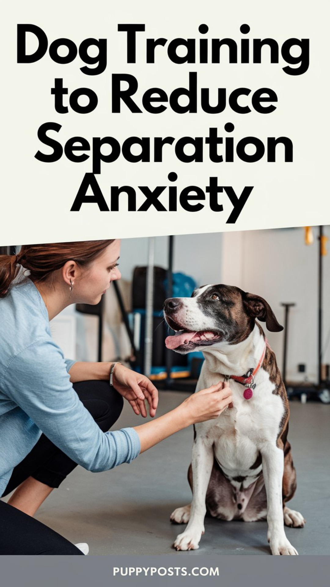 Dog training to reduce separation anxiety Dog training to reduce separation anxiety
