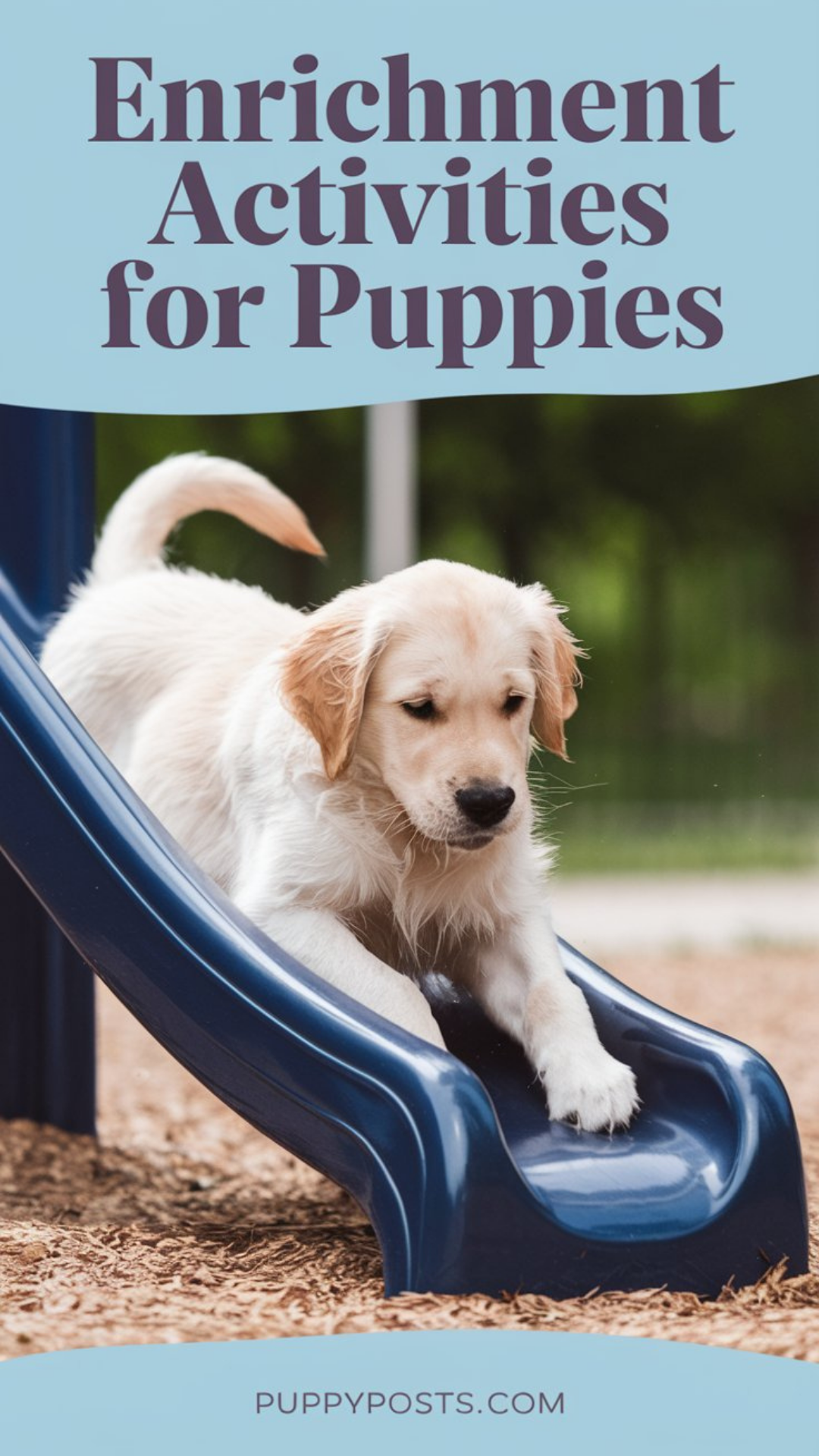 Enrichment activities for puppies Enrichment activities for puppies