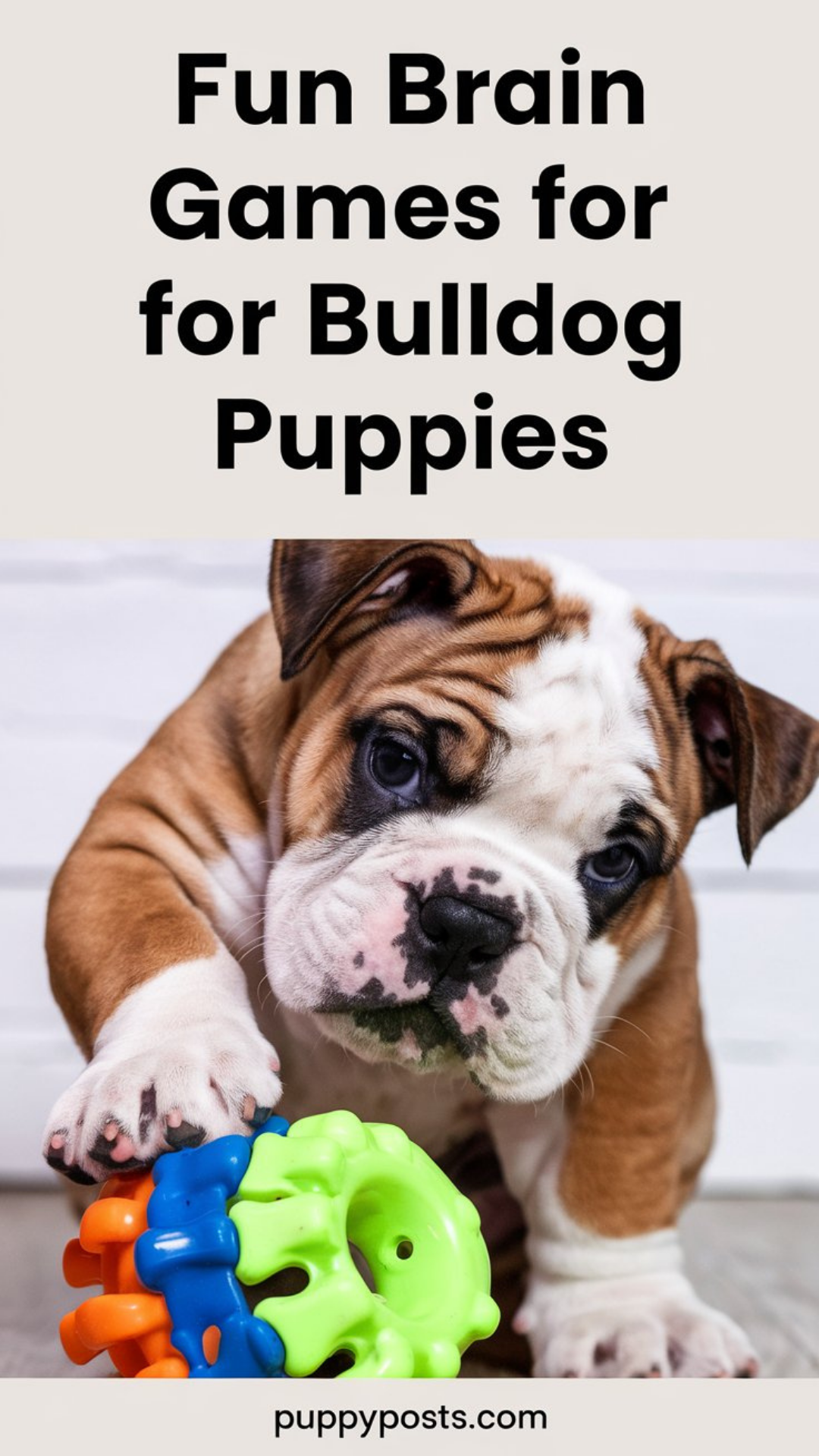 Fun brain games for Bulldog puppies