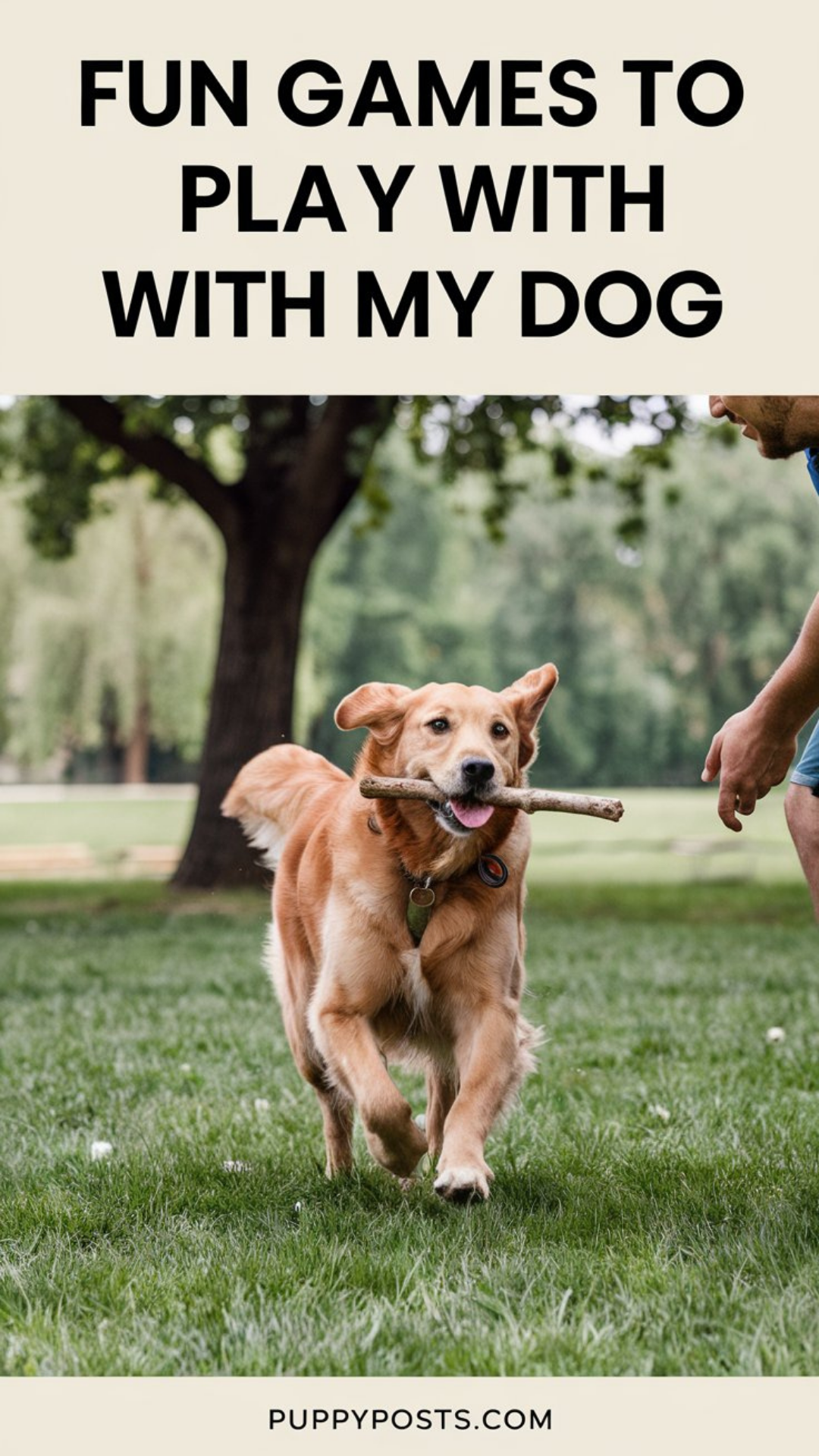 Fun games to play with my dog Fun games to play with my dog