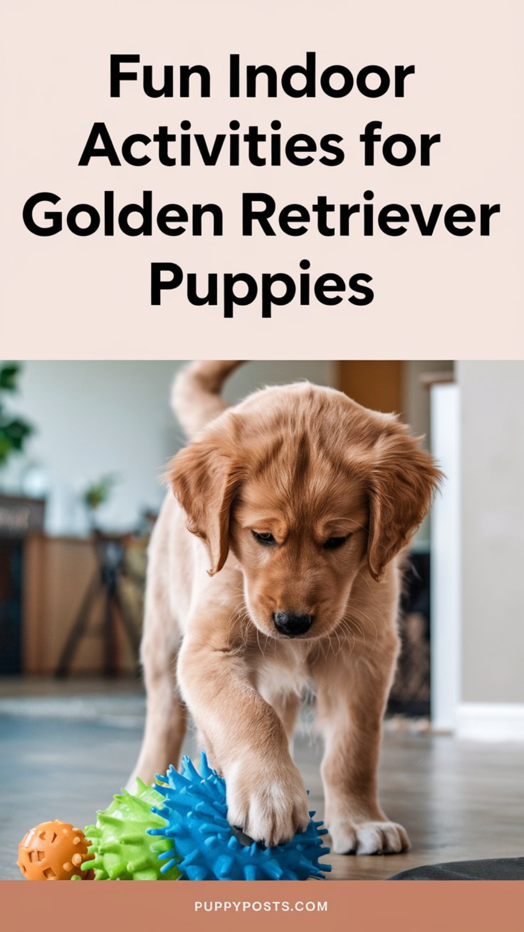 Fun indoor activities for Golden Retriever puppies Fun indoor activities for Golden Retriever puppies