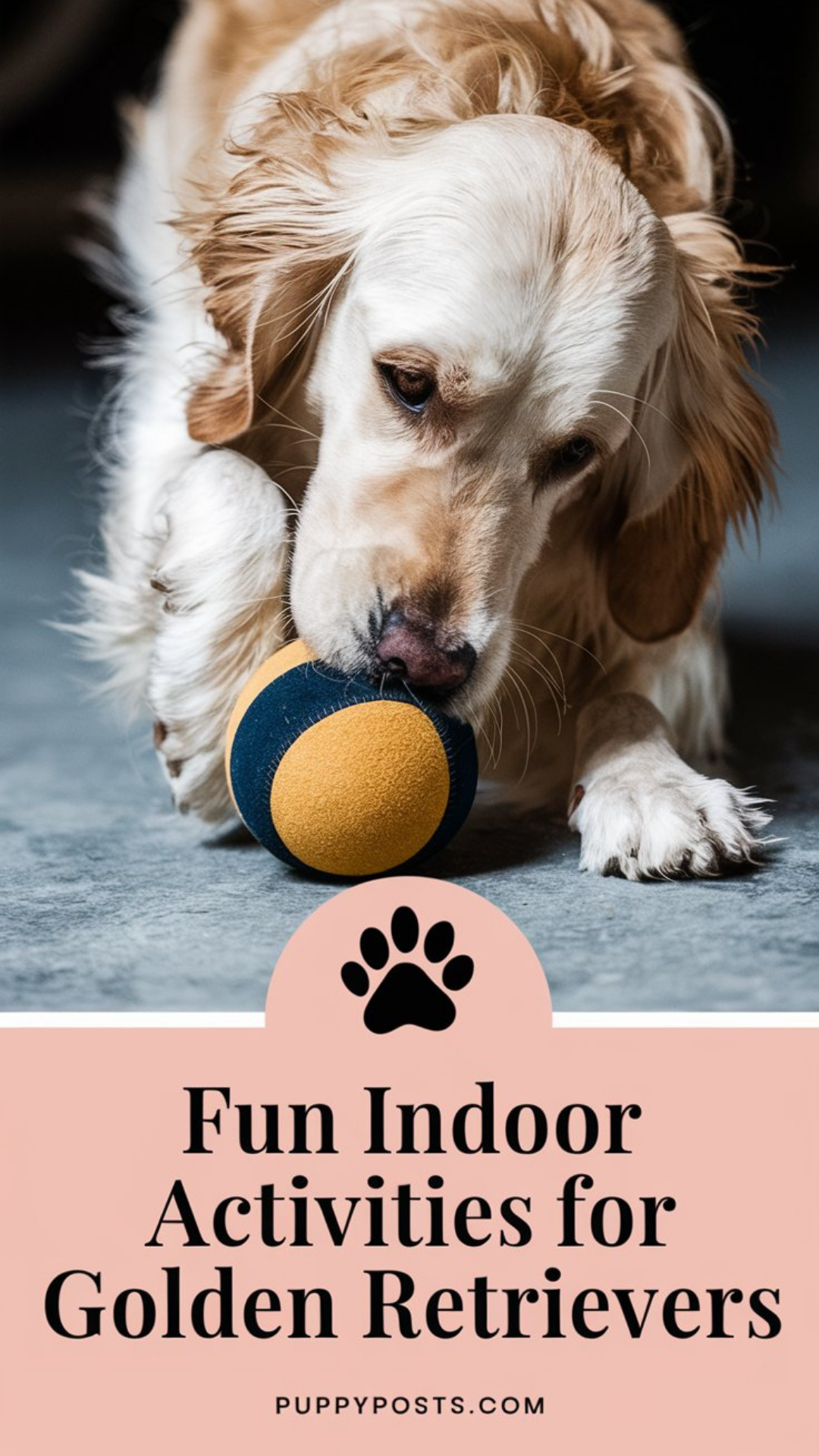 Fun indoor activities for Golden Retrievers Fun indoor activities for Golden Retrievers
