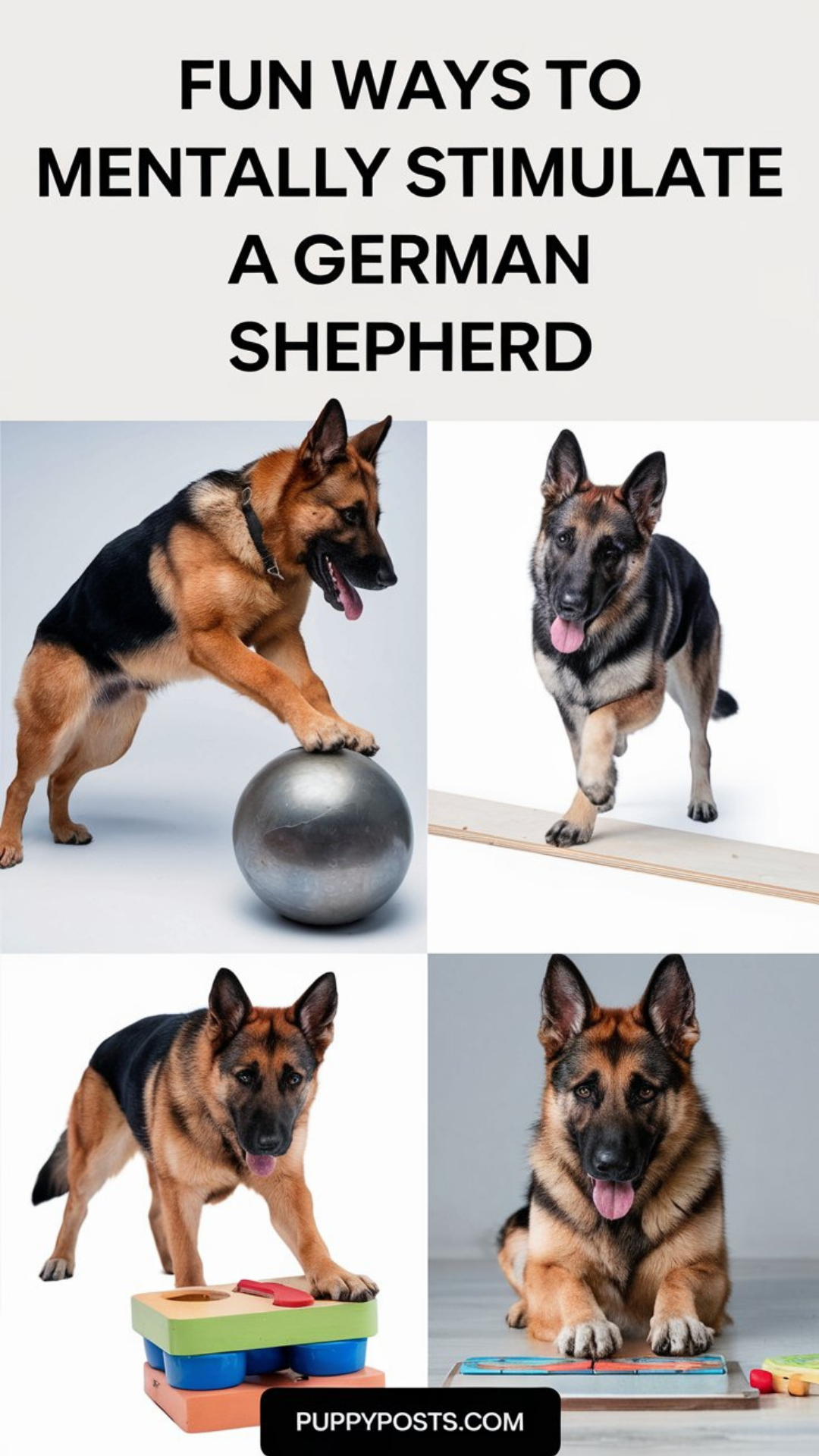 Fun ways to mentally stimulate a German Shepherd Fun ways to mentally stimulate a German Shepherd