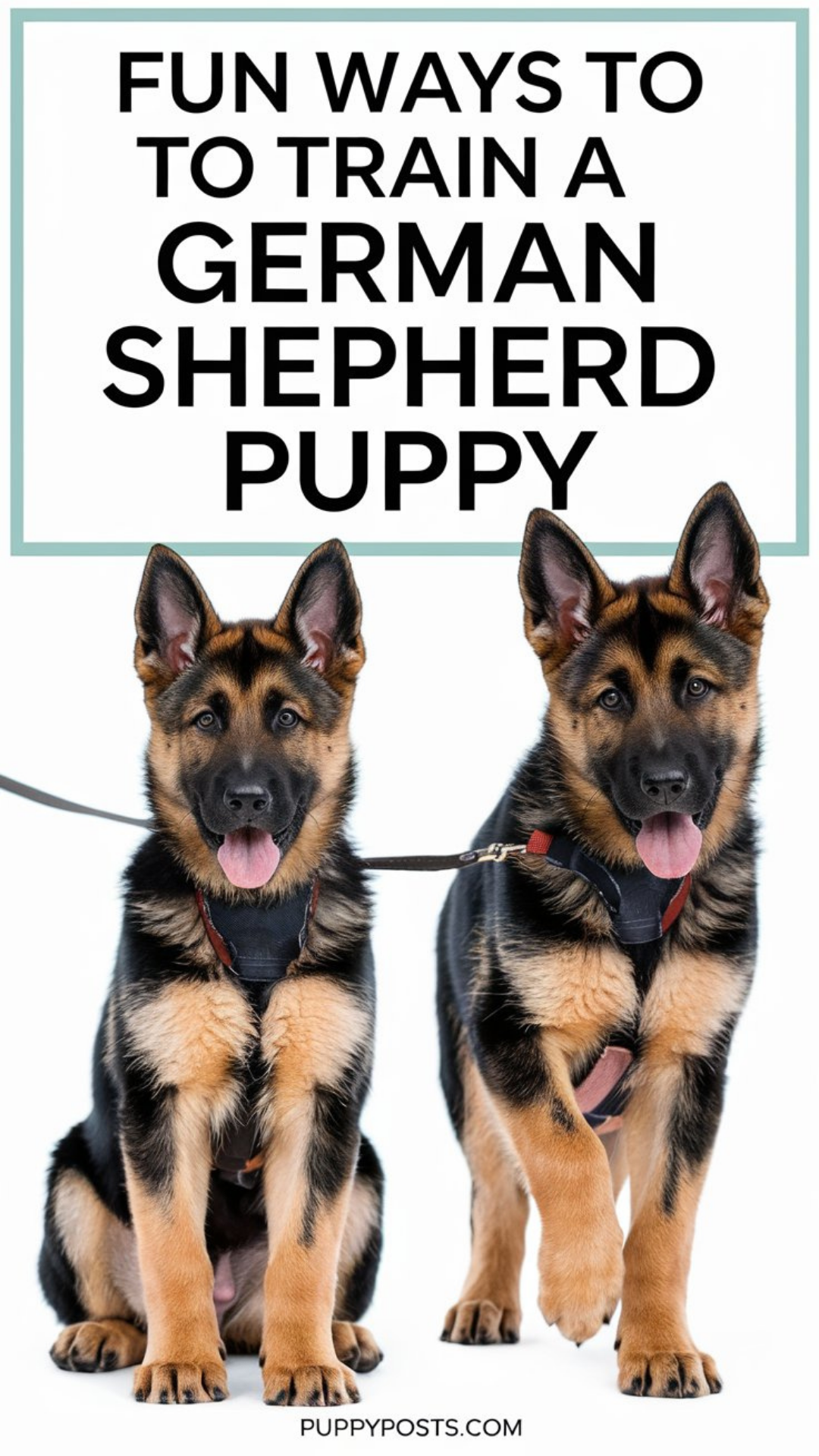 Fun ways to train a German Shepherd puppy Fun ways to train a German Shepherd puppy