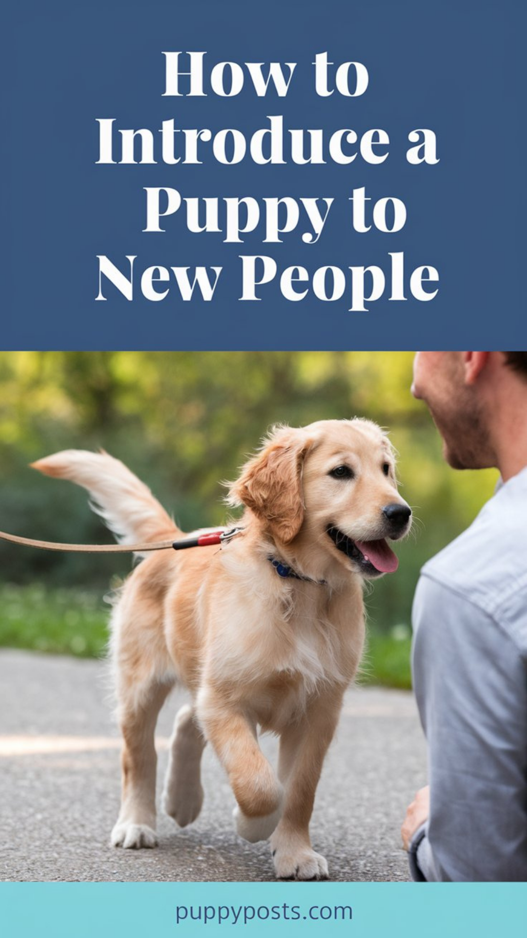 How to introduce a puppy to new people