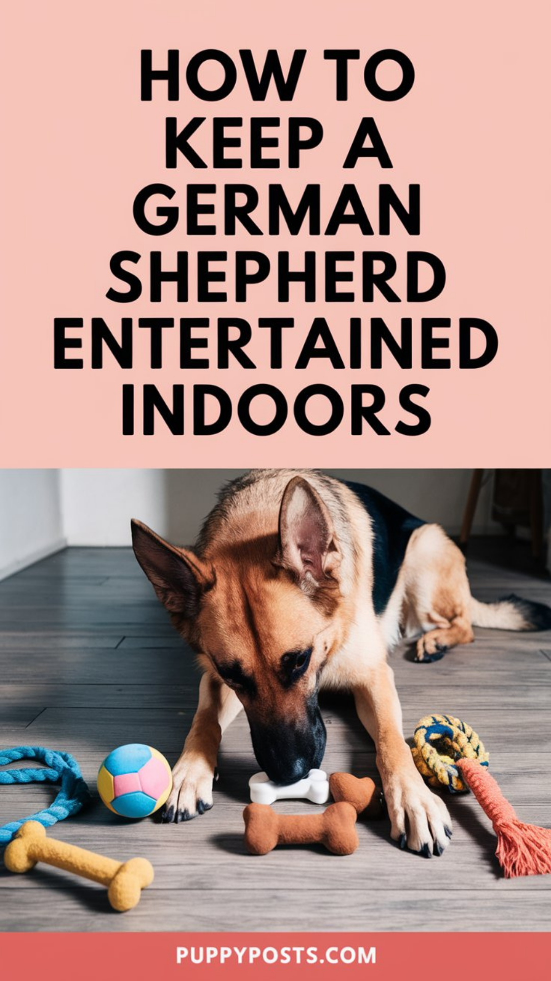 How to keep a German Shepherd entertained indoors