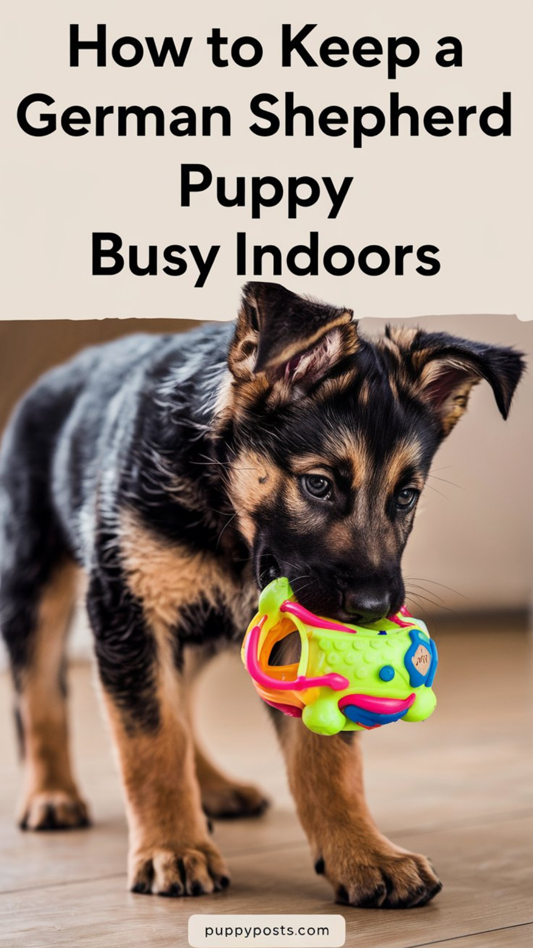 How to keep a German Shepherd puppy busy indoors How to keep a German Shepherd puppy busy indoors