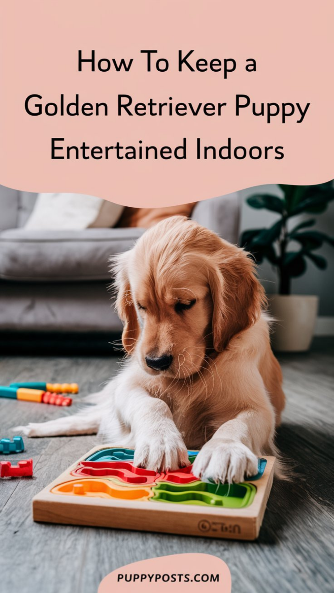 How to keep a Golden Retriever puppy entertained indoors How to keep a Golden Retriever puppy entertained indoors
