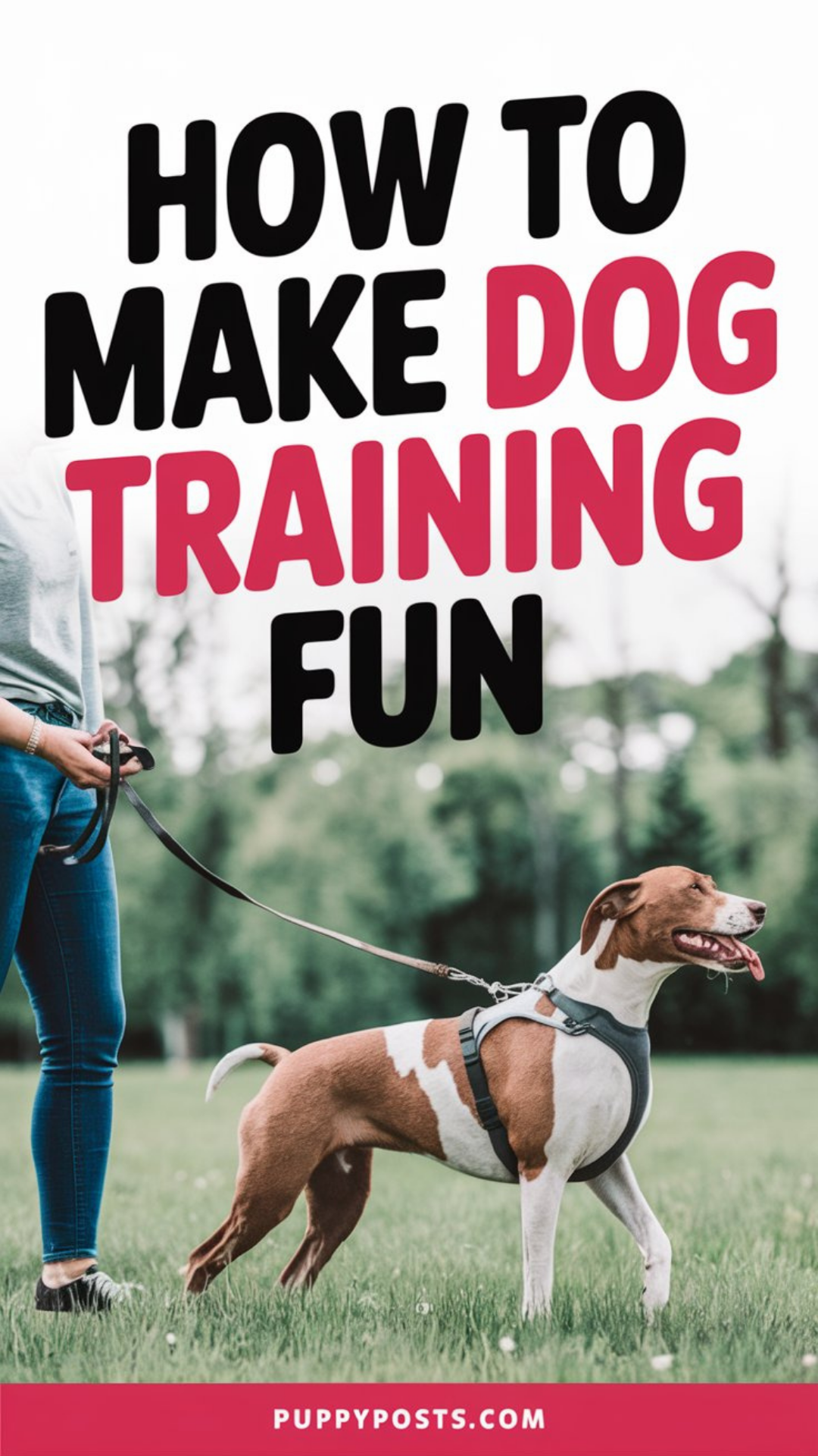 How to make dog training fun
