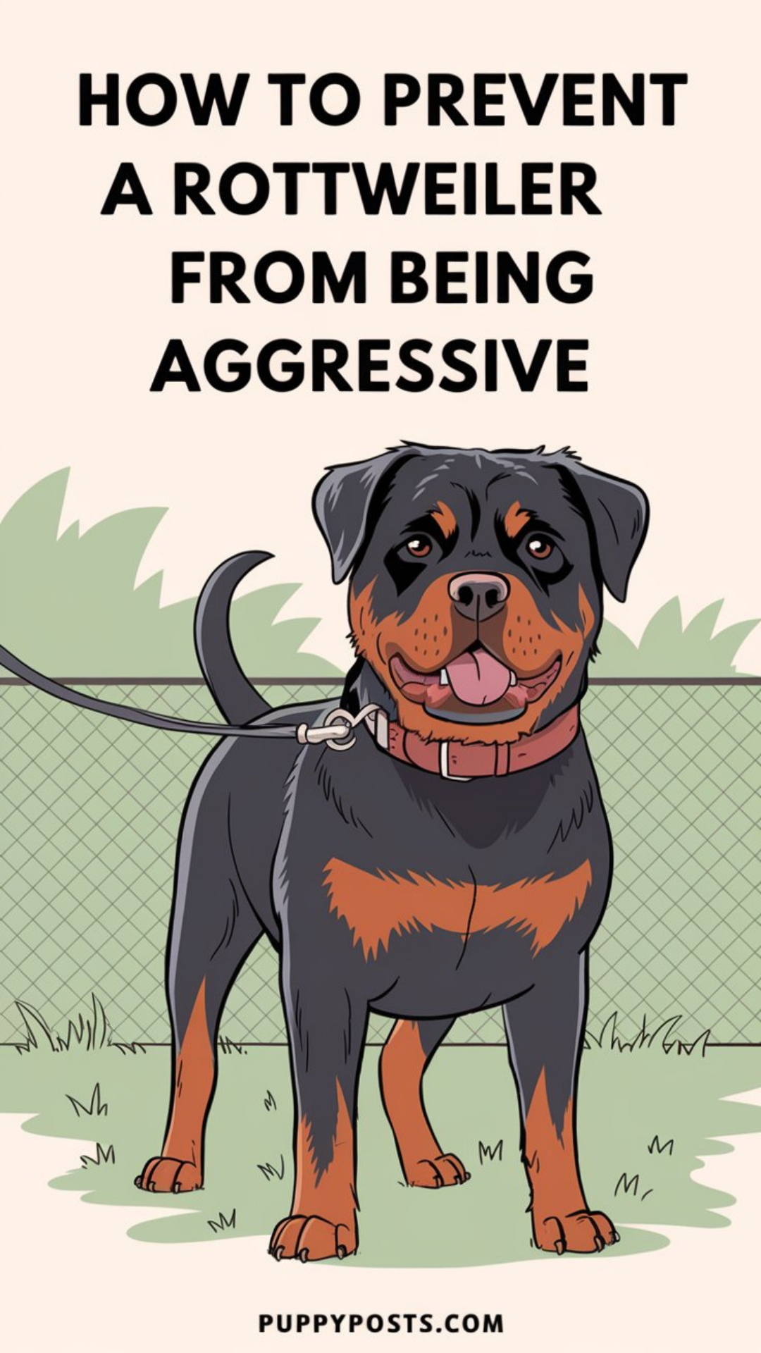 How to prevent a Rottweiler from being aggressive How to prevent a Rottweiler from being aggressive