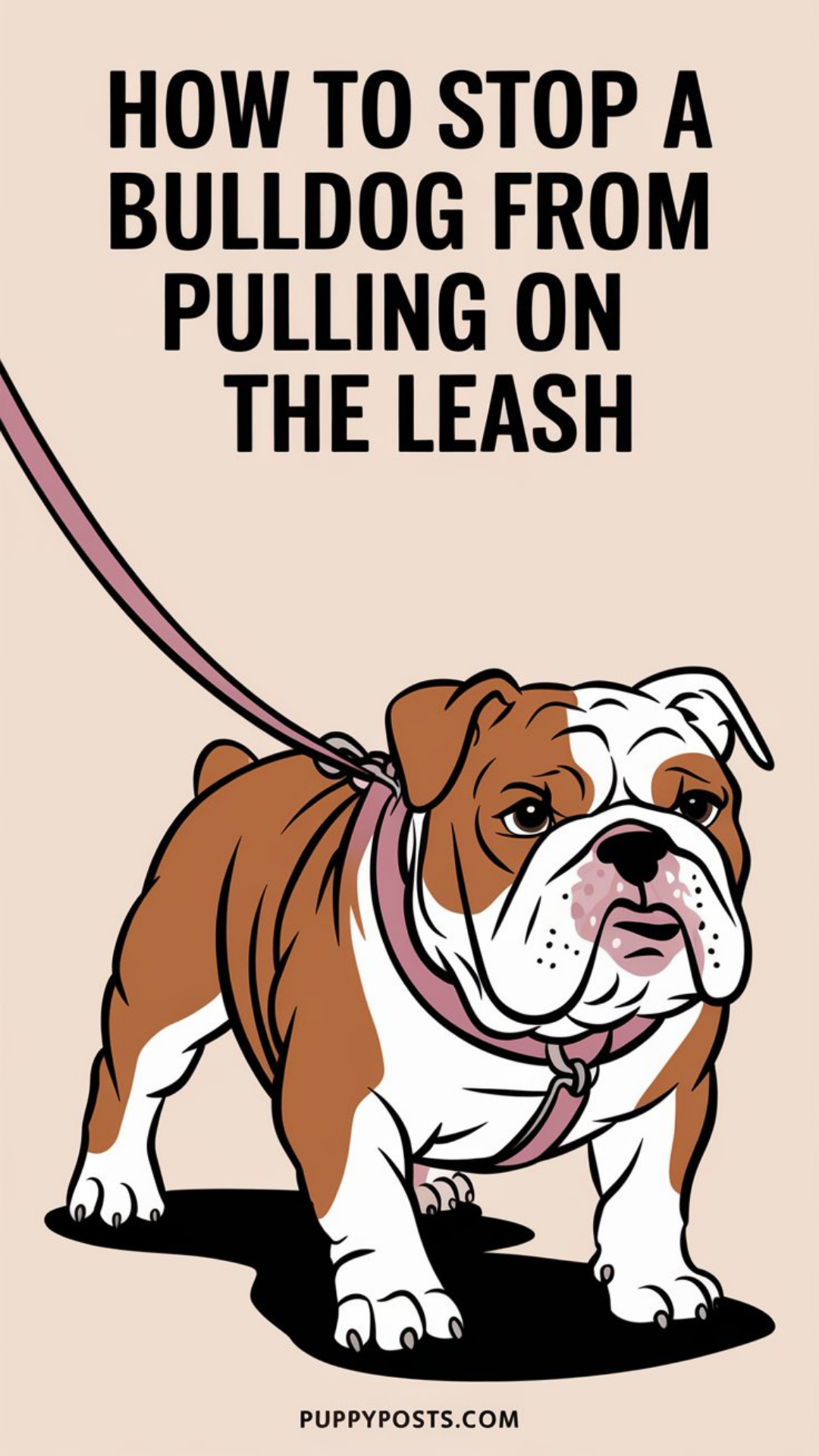 How to stop a Bulldog puppy from pulling on the leash How to stop a Bulldog puppy from pulling on the leash
