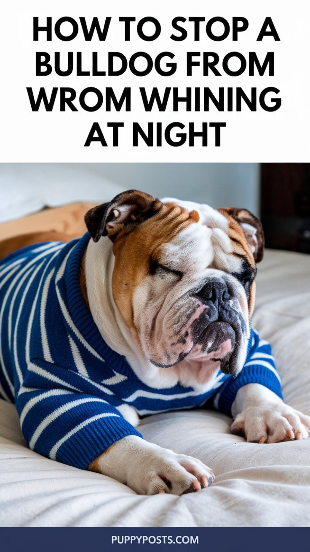 How to stop a Bulldog from whining at night