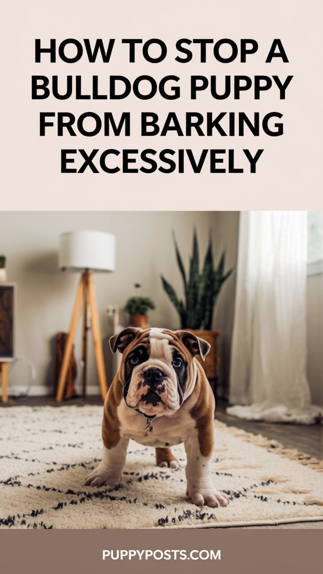 How to stop a Bulldog puppy from barking excessively How to stop a Bulldog puppy from barking excessively