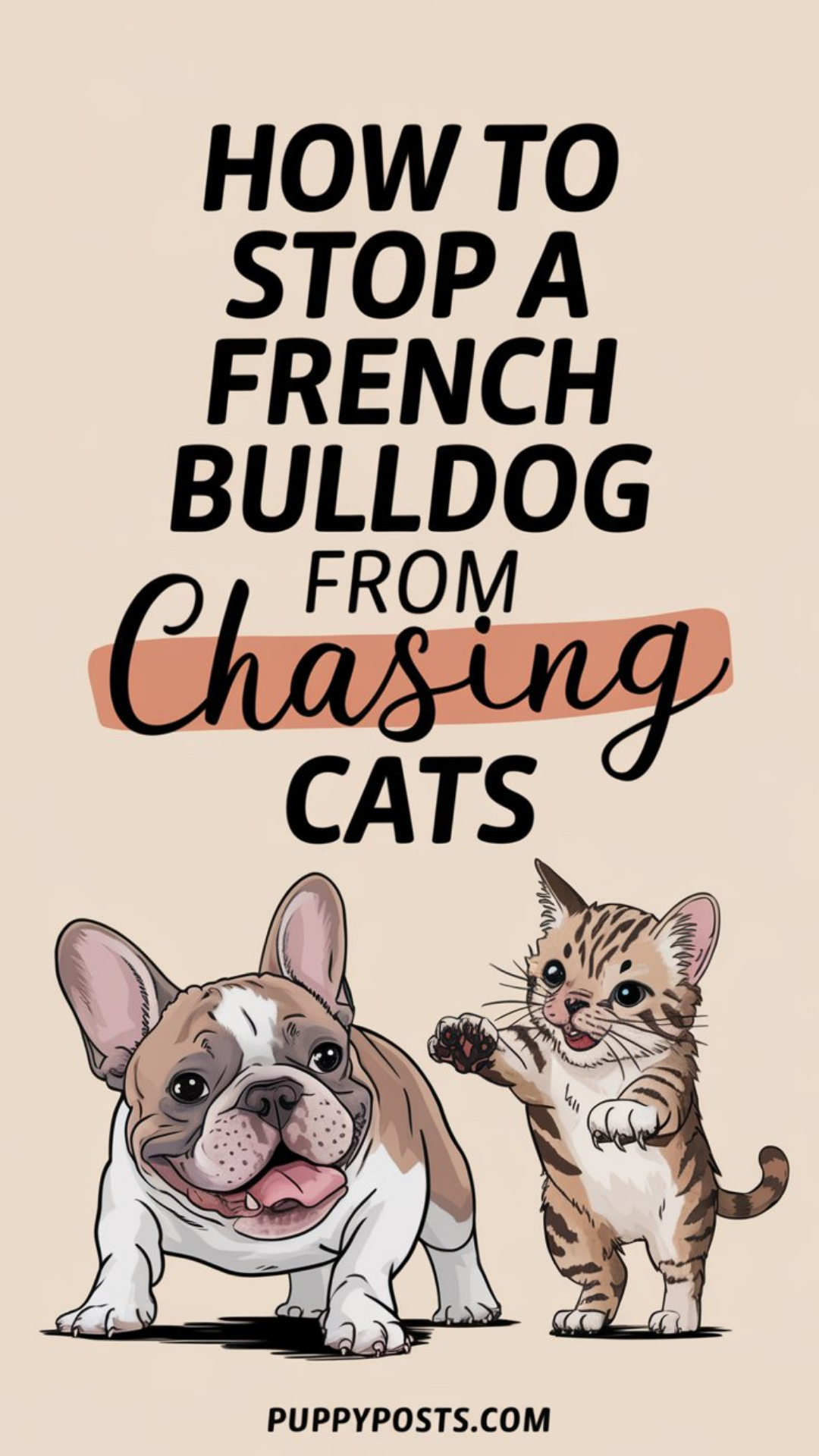 How to stop a French Bulldog from chasing cats How to stop a French Bulldog from chasing cats