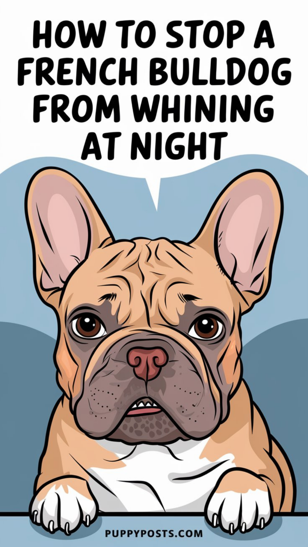 How to stop a French Bulldog from whining at night How to stop a French Bulldog from whining at night