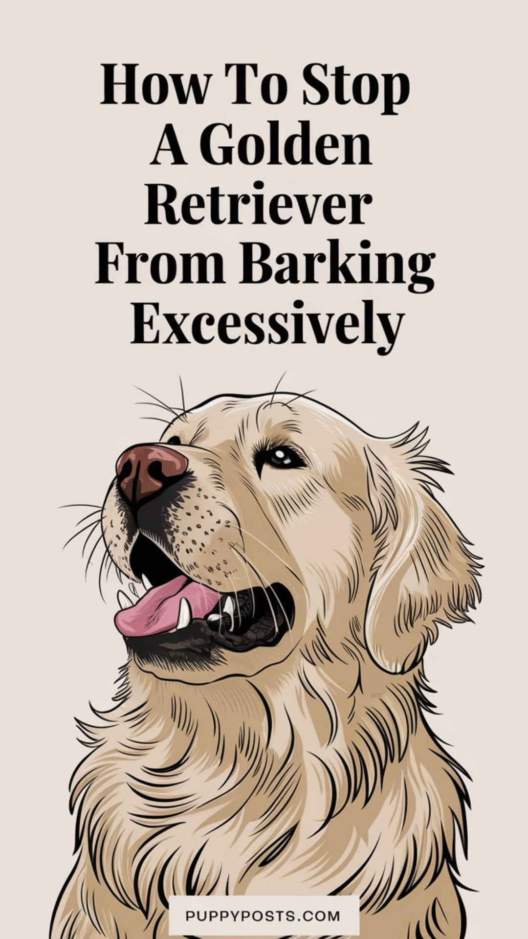 How to stop a Golden Retriever from barking excessively How to stop a Golden Retriever from barking excessively