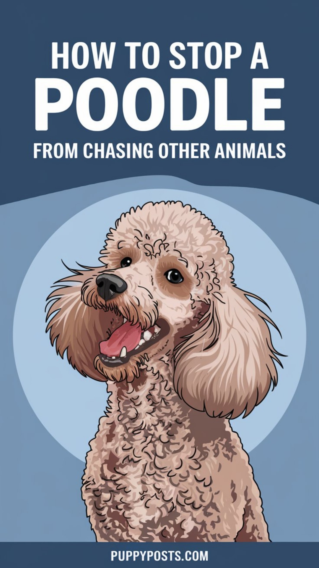 How to stop a Poodle from chasing other animals How to stop a Poodle from chasing other animals